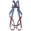 Harnais et accessoires